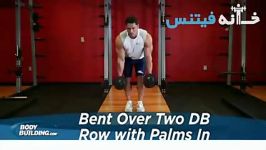 Bent Over Two Dumbbell Row With Palms In Exercise Guide and Video new