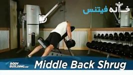 Middle Back Shrug Exercise Guide and Video new