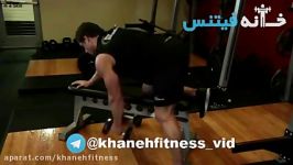 One Arm Dumbbell Row Exercise Guide and Video new