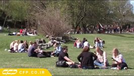 دانشگاه استکهلم  Stockholm University