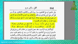 چه کسانی ابن ملجم را در جنایتش مجتهد می دانند؟