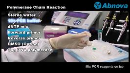 Polymerase Chain Reaction for Beginners by Abnova