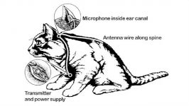 Does The Doomsday Device Really Exist