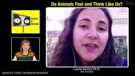 Experts in Emotion 3.1  Laurie Santos on Do Animals Feel and Think Like Us