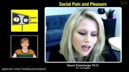 Experts in Emotion 9.3a  Naomi Eisenberger on Social Pain and Pleasure