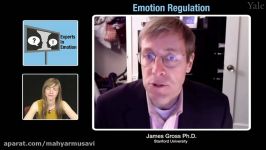 Experts in Emotion 14.1  James Gross on Emotion Regulation