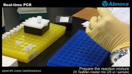 Real Time PCR for Beginners