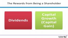 Finance Shareholder Ratios