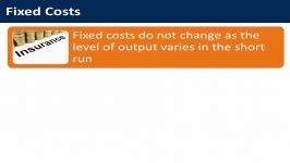 Fixed Costs