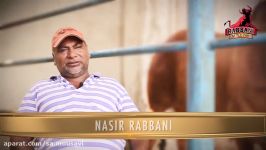  Cattle Documentary  Qurbani Bull  Cow Mandi  Sohrab Goth  Rabbani cattle farm  