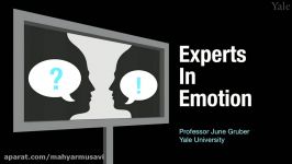 Experts in Emotion 14.2  Kevin Ochsner on Emotion Regulation and the Brain