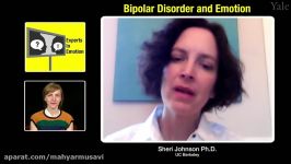 Experts in Emotion 17.2c  Sheri Johnson on Emotion and Bipolar Disorder