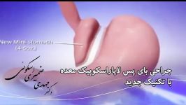 دکتر مهدی ضمیری اسکوئی