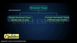 زیست شناسی دهم فصل۶ گفتار ۲ سامانه بافت زمینه ای
