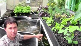 What is Aquaponics How it Works