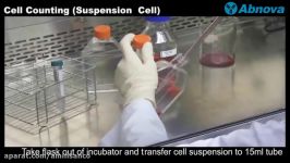 Cell Counting Suspension Cells