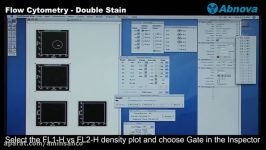 Flow Cytometry  Double Stain