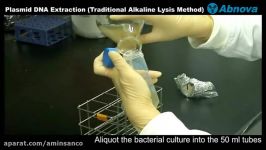 Plasmid DNA Extraction Alkaline Lysis Method