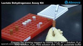 Lactate Dehydrogenase Assay Kit