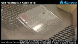 Cell Proliferation Assay MTS