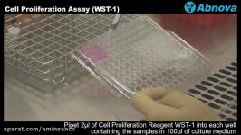 Cell Proliferation Assay WST 1