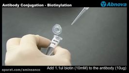 Antibody Conjugation  Biotinylation