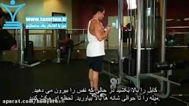 آموزش حرکت جلو بازو سیم کش ایستاده Standing Biceps Cabl