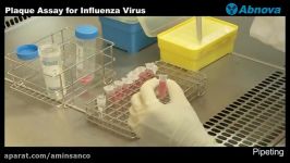 Plaque Assay for Influenza Virus