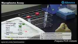 Mycoplasma Assay