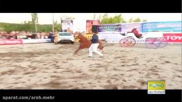 مراغه جشنواره زیبایی اسب اصیل عرب مراغه با