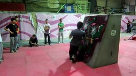 homayoun alizade and Freinds parkour