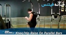 Knee Hip Raise On Parallel Bars Exercise Guide and Video new