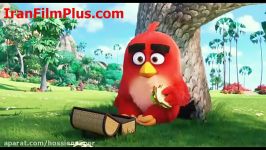 کارتون دوبله فارسی  پرندگان خشمگین 2016 Angry Birds