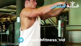 Straight Arm Pulldown Exercise Guide and Video new