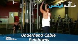 Underhand Cable Pulldowns Exercise Guide and Video new