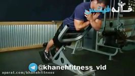 Hyperextensions Back Extensions Exercise Guide and Video new