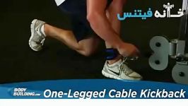 One Legged Cable Kickback Exercise Guide and Video new