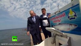 Putin helps release batch of endangered fish into Lake Baikal