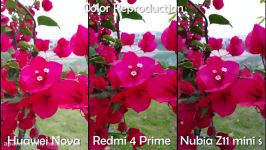 Huawei Nova vs Redmi 4 Prime vs Nubia Z11 Mini S  Camera Comparison