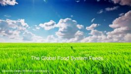 The Global Food System In Numbers  MR0528