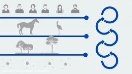 Emergence Theory 6 Integrative Levels