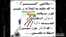 عشق اریایی