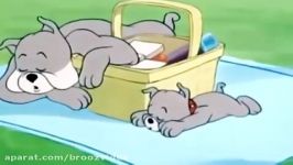 Tom and Jerry Cartoon  Pup on a Picnic