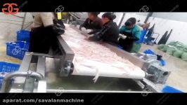 chicken feet processing line توحیدراستی09124608343