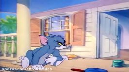 Tom and Jerry  35 Episode  The Truce Hurts 1947