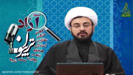 شفا گرفتن علمای اهل سنت به قبر مبارک آقا امام رضا