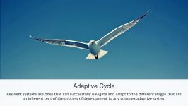 Systems Ecology 14 Adaptive Capacity
