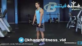 Romanian Deadlift With Dumbbells Exercise Guide and Video new