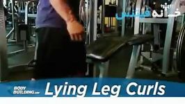 Lying Leg Curls Exercise Guide and Video new