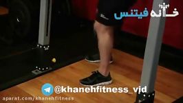 Weighted Sissy Squat Exercise Guide and Video new